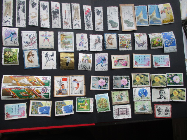 dvubb 图片点击可在新窗口打开查看