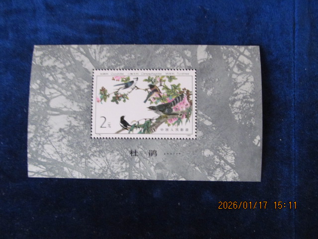 dvubb 图片点击可在新窗口打开查看