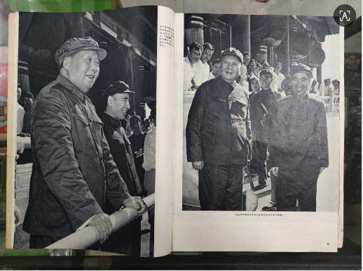 dvubb 图片点击可在新窗口打开查看