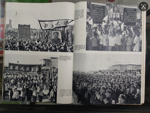 dvubb 图片点击可在新窗口打开查看