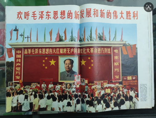 dvubb 图片点击可在新窗口打开查看