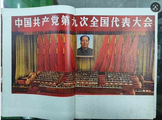 dvubb 图片点击可在新窗口打开查看