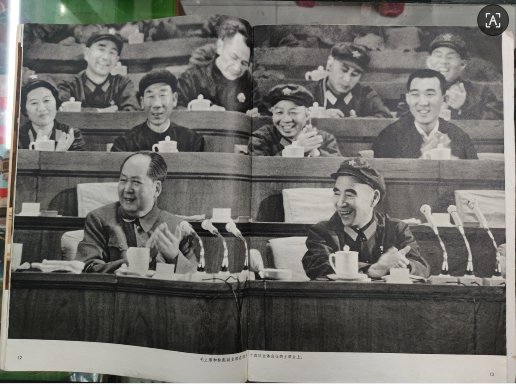 dvubb 图片点击可在新窗口打开查看