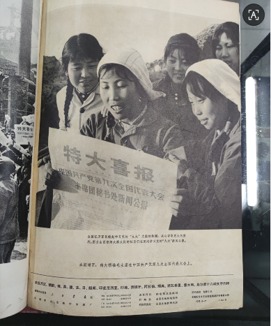 dvubb 图片点击可在新窗口打开查看