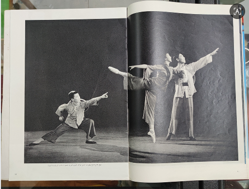 dvubb 图片点击可在新窗口打开查看