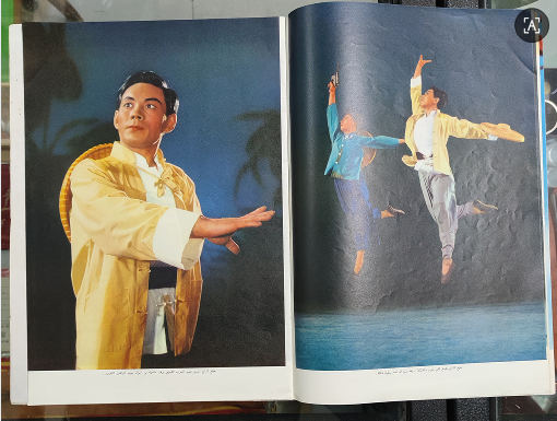 dvubb 图片点击可在新窗口打开查看