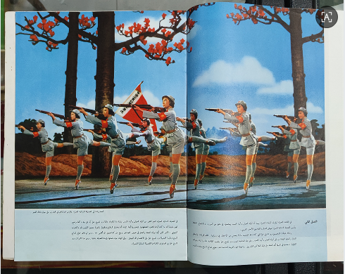 dvubb 图片点击可在新窗口打开查看