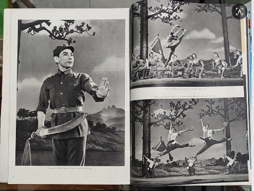 dvubb 图片点击可在新窗口打开查看