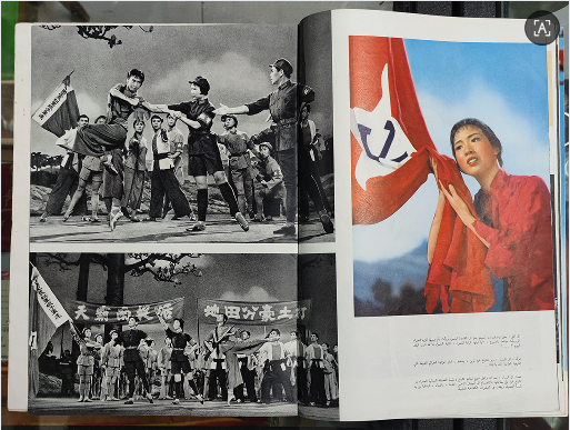 dvubb 图片点击可在新窗口打开查看