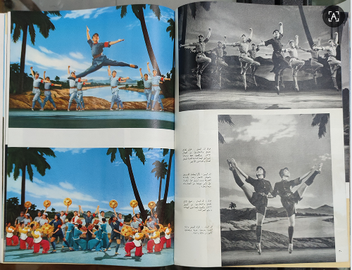 dvubb 图片点击可在新窗口打开查看