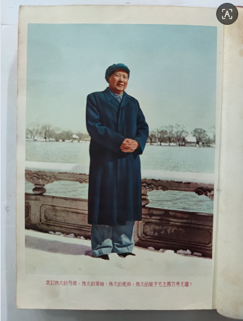 dvubb 图片点击可在新窗口打开查看