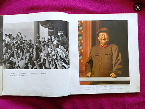 dvubb 图片点击可在新窗口打开查看