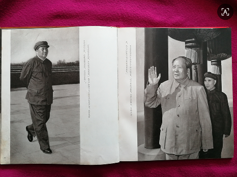 dvubb 图片点击可在新窗口打开查看