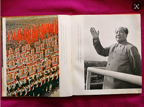 dvubb 图片点击可在新窗口打开查看