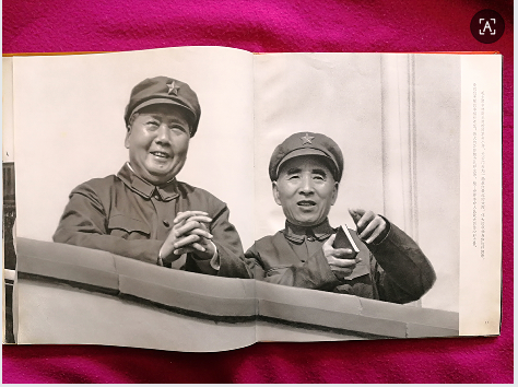 dvubb 图片点击可在新窗口打开查看