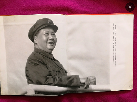 dvubb 图片点击可在新窗口打开查看