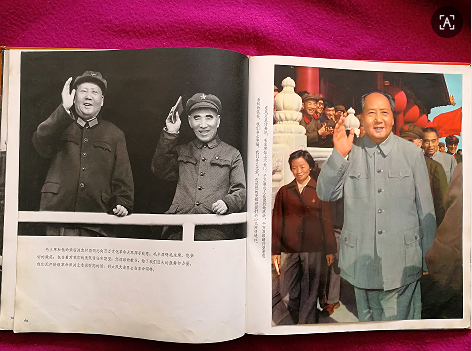 dvubb 图片点击可在新窗口打开查看