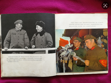 dvubb 图片点击可在新窗口打开查看