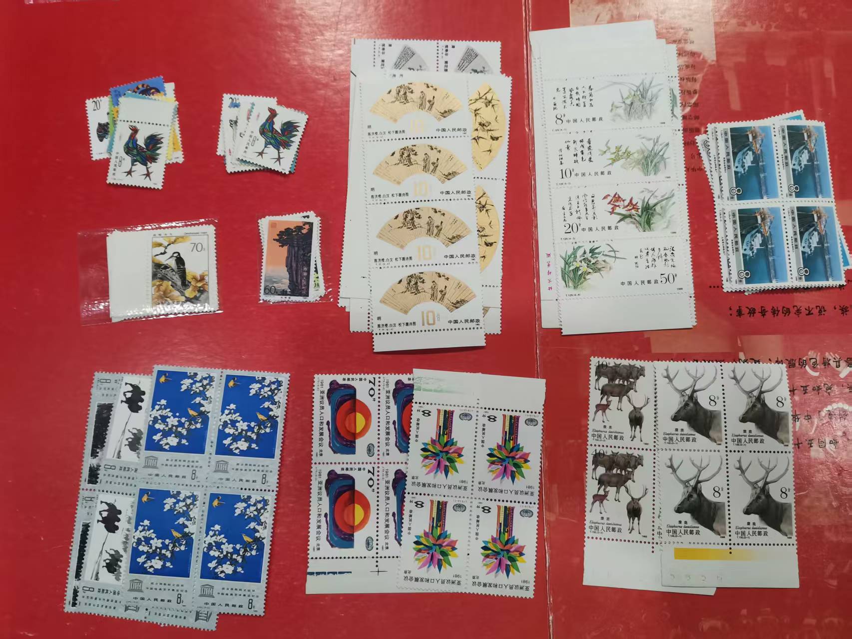 dvubb 图片点击可在新窗口打开查看