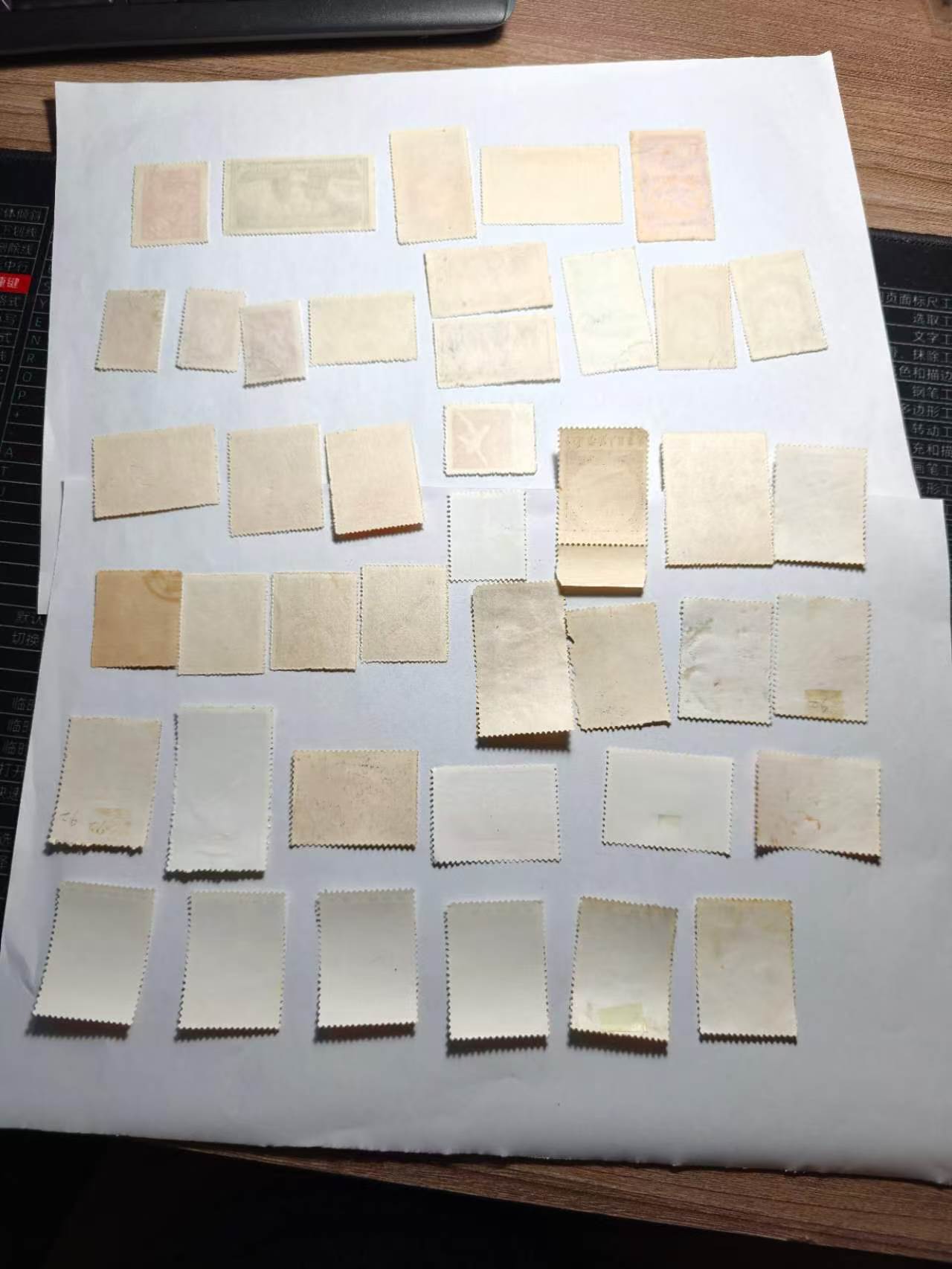 dvubb 图片点击可在新窗口打开查看