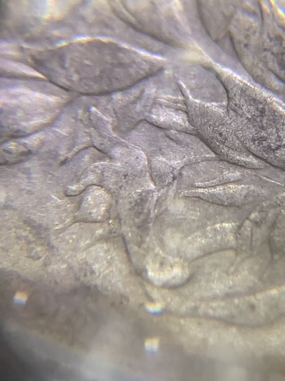 dvubb 图片点击可在新窗口打开查看