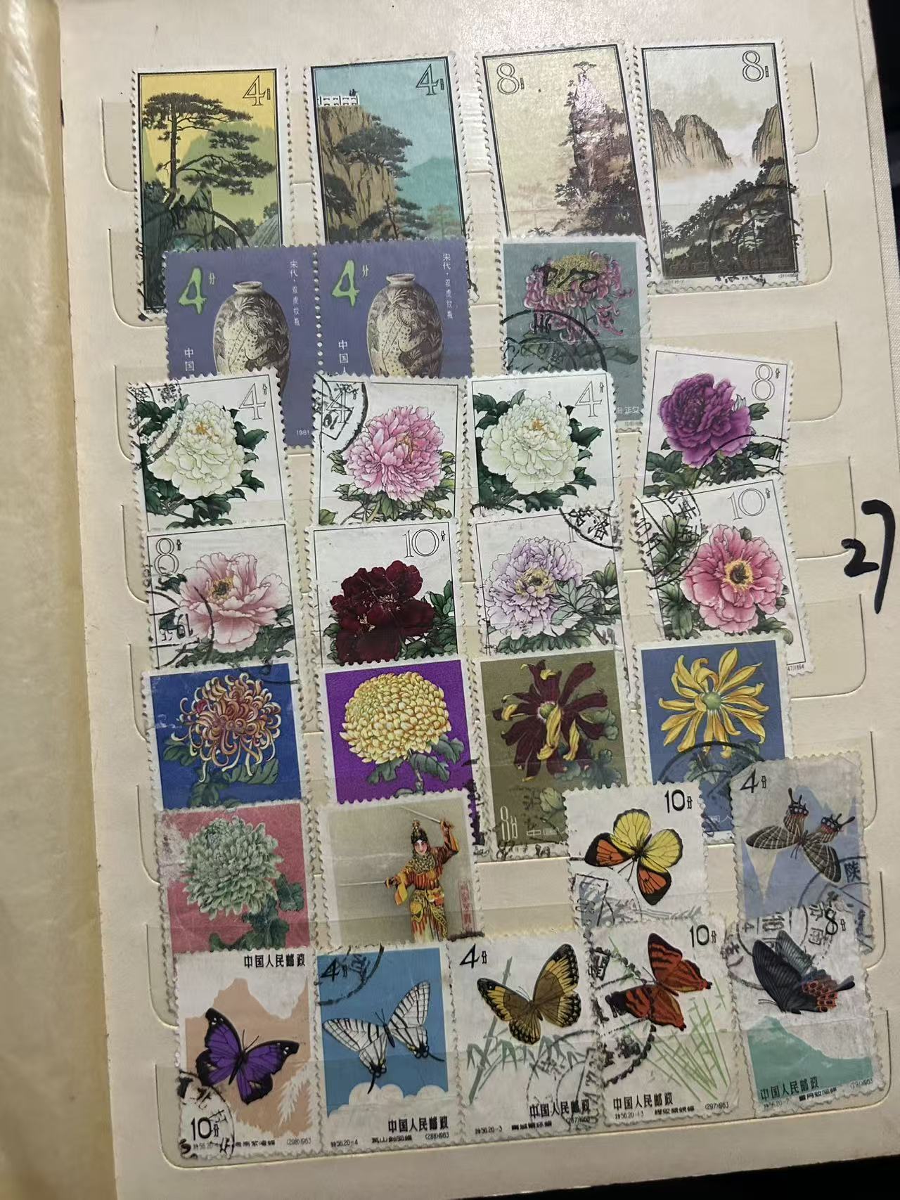 dvubb 图片点击可在新窗口打开查看