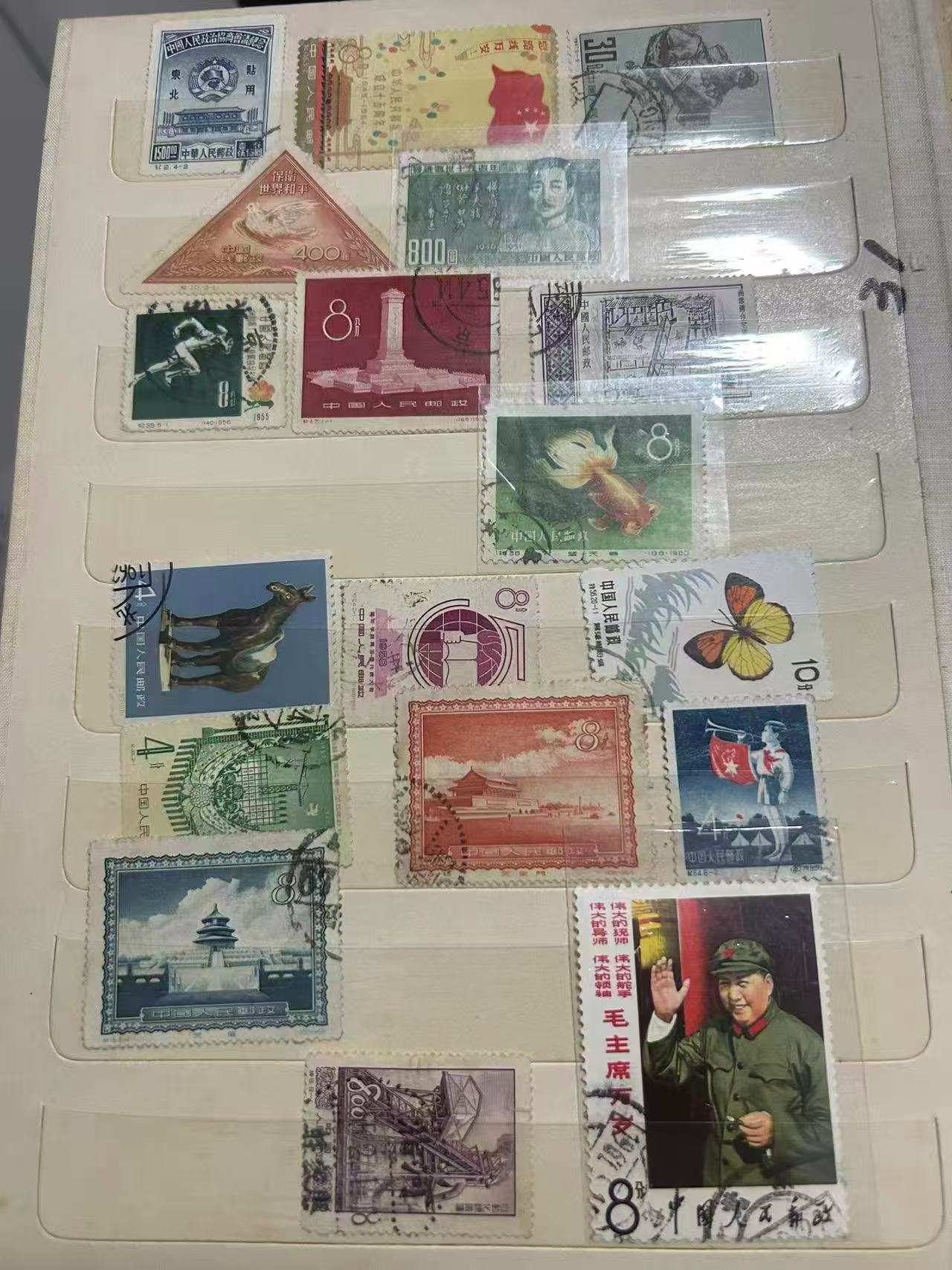 dvubb 图片点击可在新窗口打开查看