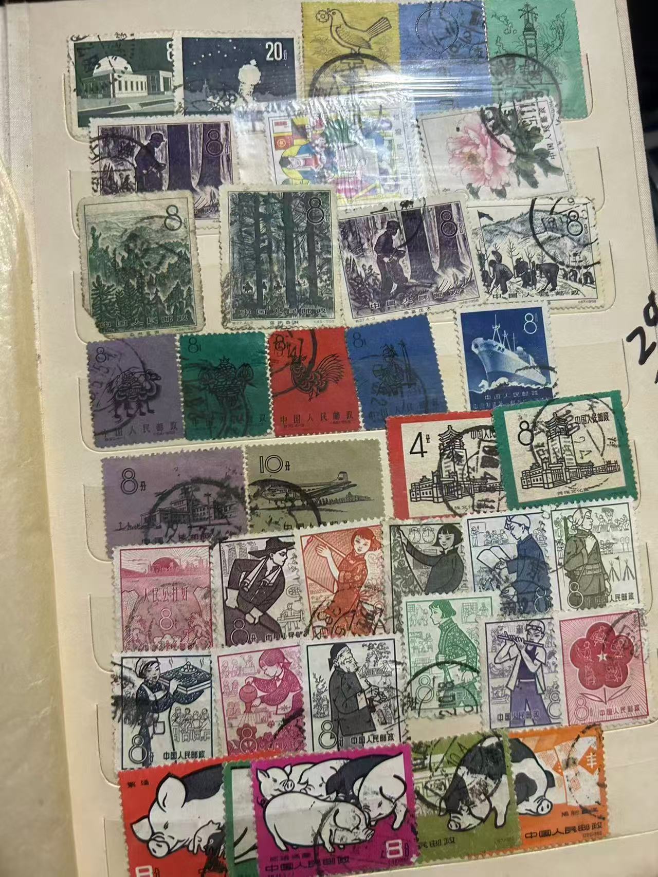 dvubb 图片点击可在新窗口打开查看