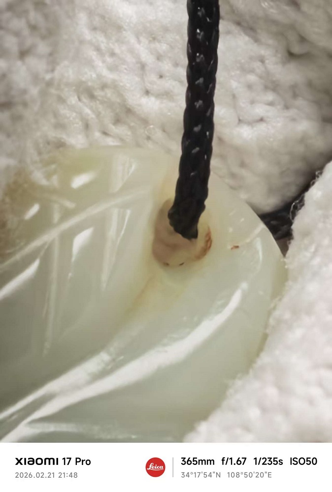 dvubb 图片点击可在新窗口打开查看