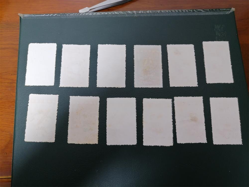 dvubb 图片点击可在新窗口打开查看