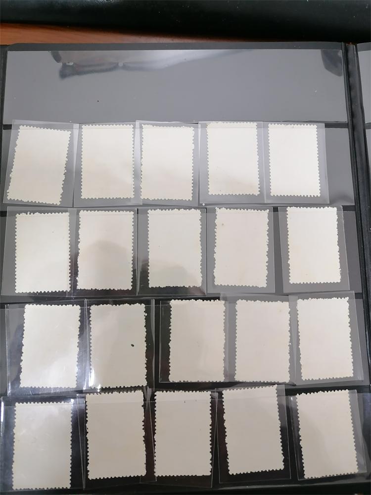 dvubb 图片点击可在新窗口打开查看