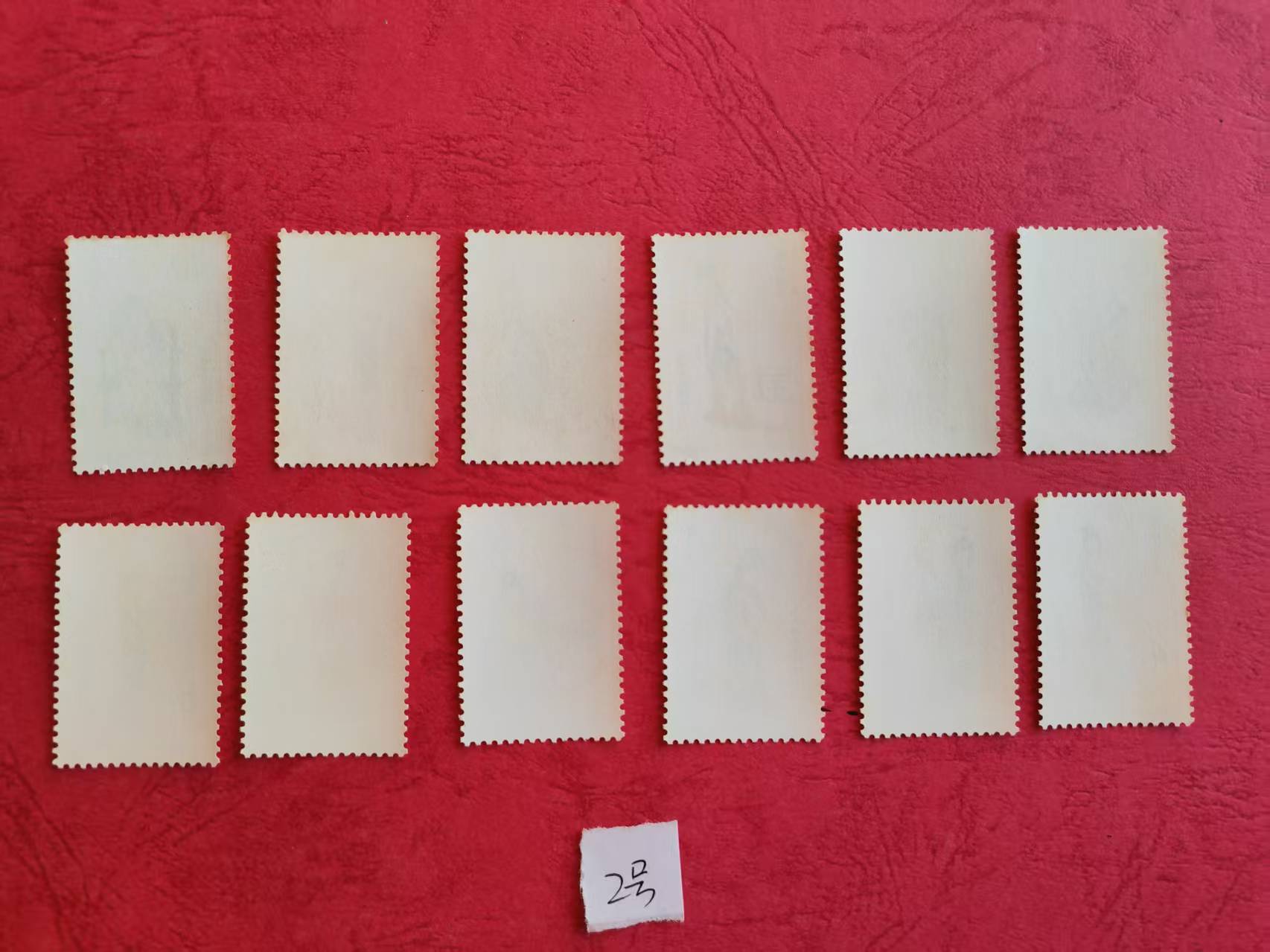 dvubb 图片点击可在新窗口打开查看