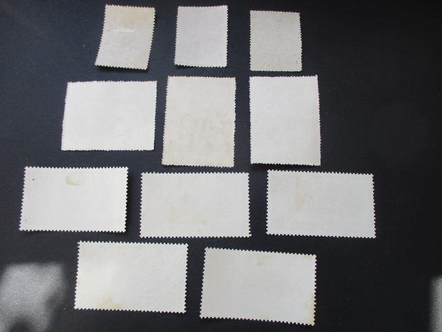 dvubb 图片点击可在新窗口打开查看