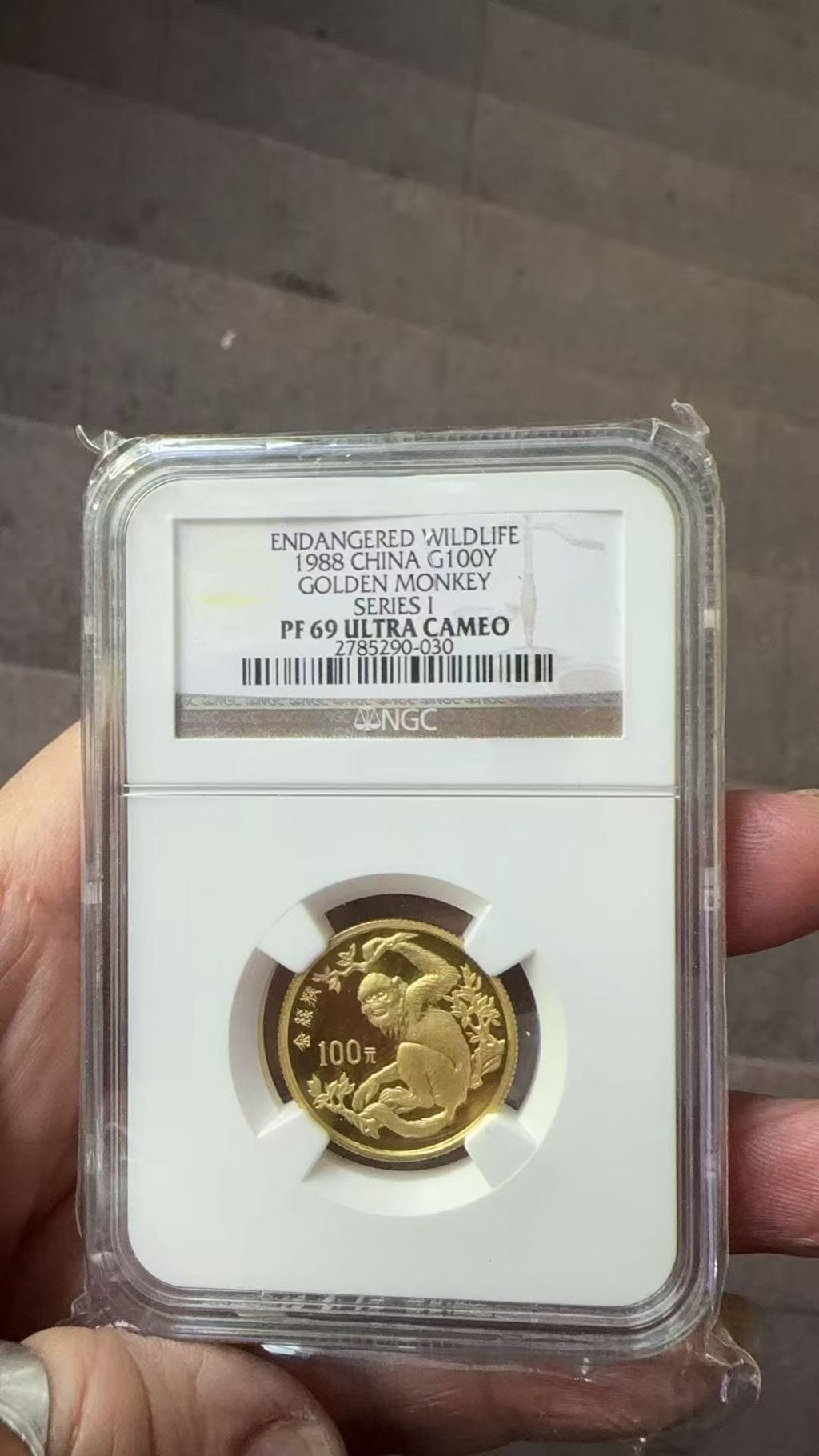 ͼƬ��������´��ڴ򿪲鿴