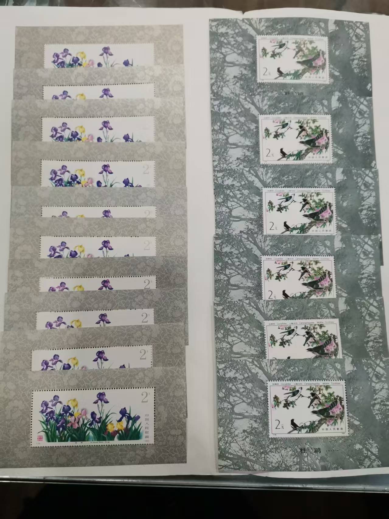 dvubb 图片点击可在新窗口打开查看