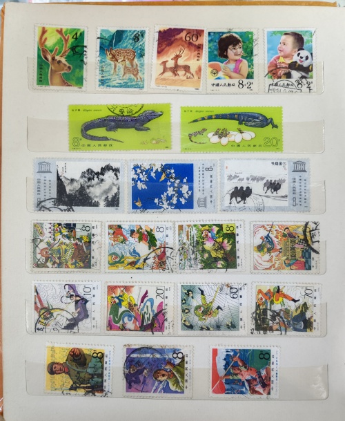 dvubb 图片点击可在新窗口打开查看