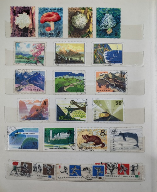 dvubb 图片点击可在新窗口打开查看