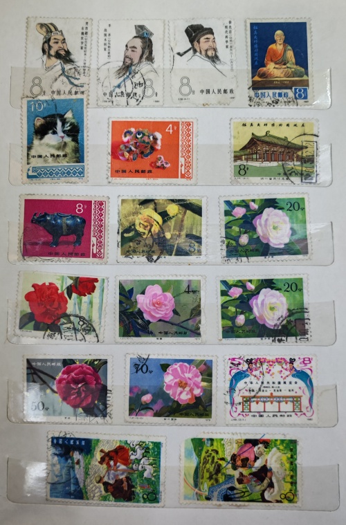 dvubb 图片点击可在新窗口打开查看