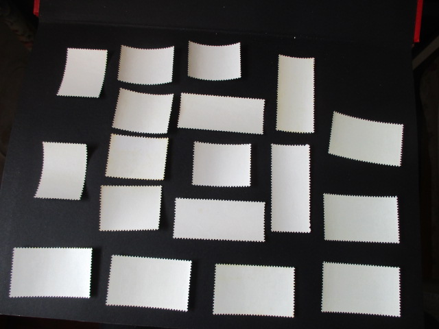 dvubb 图片点击可在新窗口打开查看