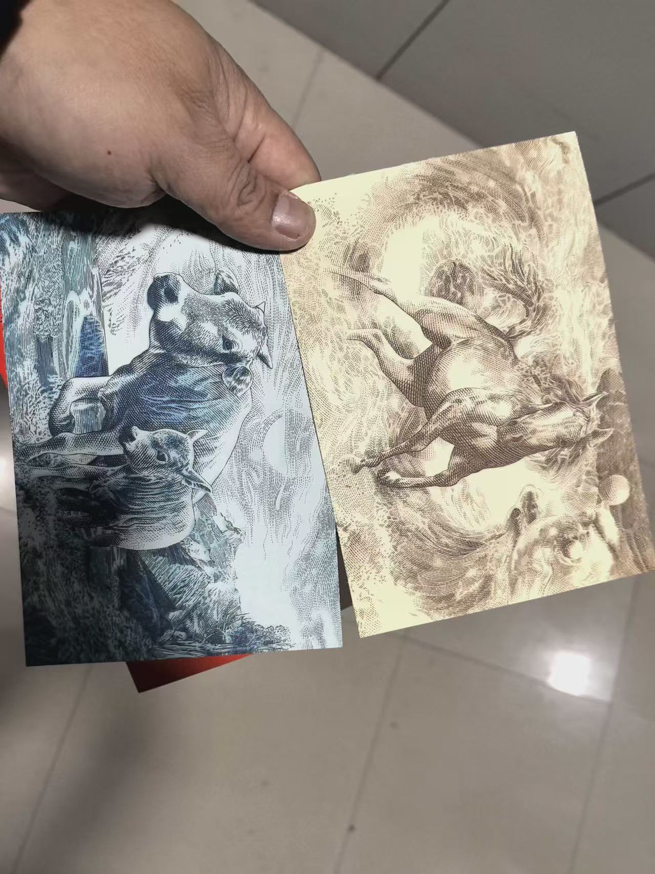 dvubb 图片点击可在新窗口打开查看