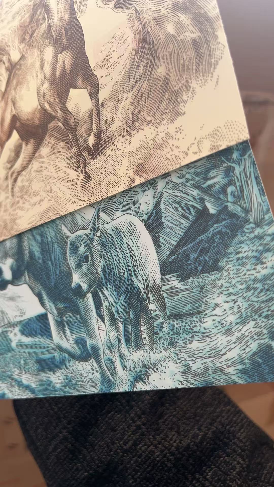 dvubb 图片点击可在新窗口打开查看