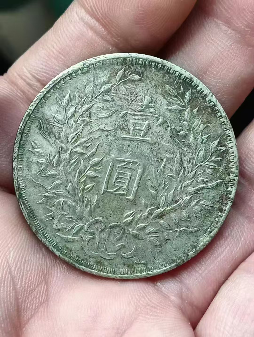 dvubb 图片点击可在新窗口打开查看