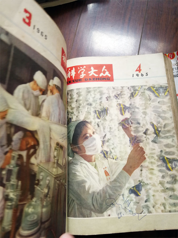 dvubb 图片点击可在新窗口打开查看