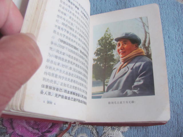 dvubb 图片点击可在新窗口打开查看