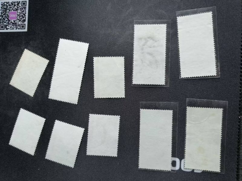 dvubb 图片点击可在新窗口打开查看