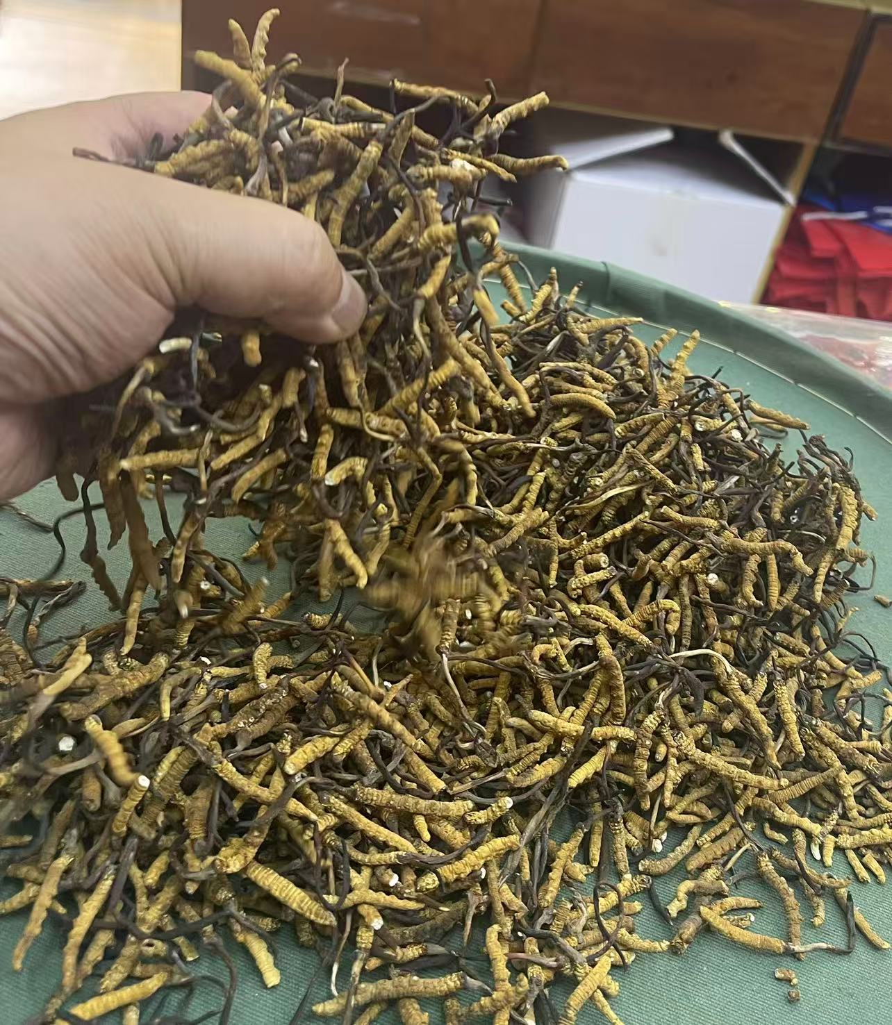 dvubb 图片点击可在新窗口打开查看