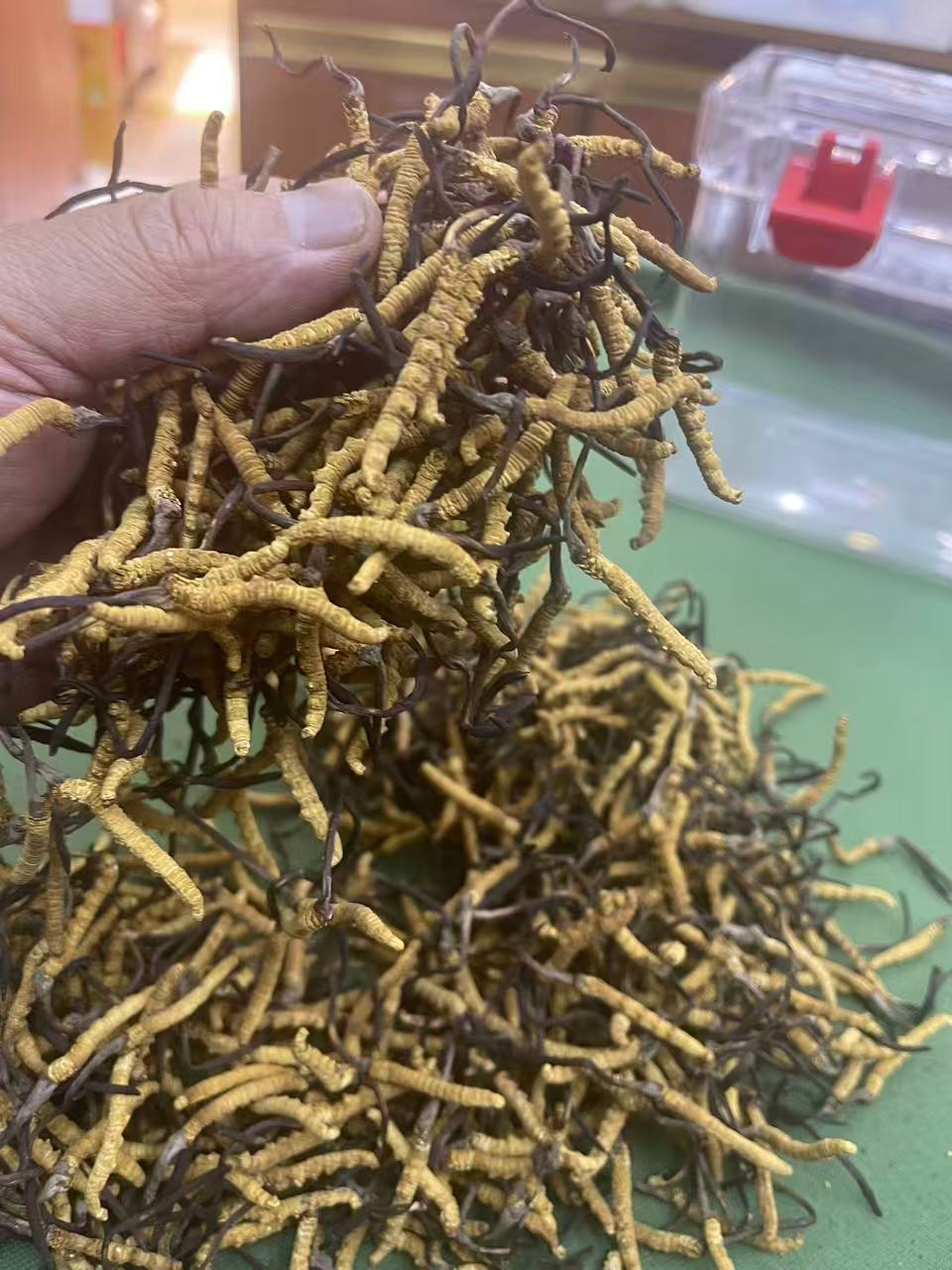 dvubb 图片点击可在新窗口打开查看