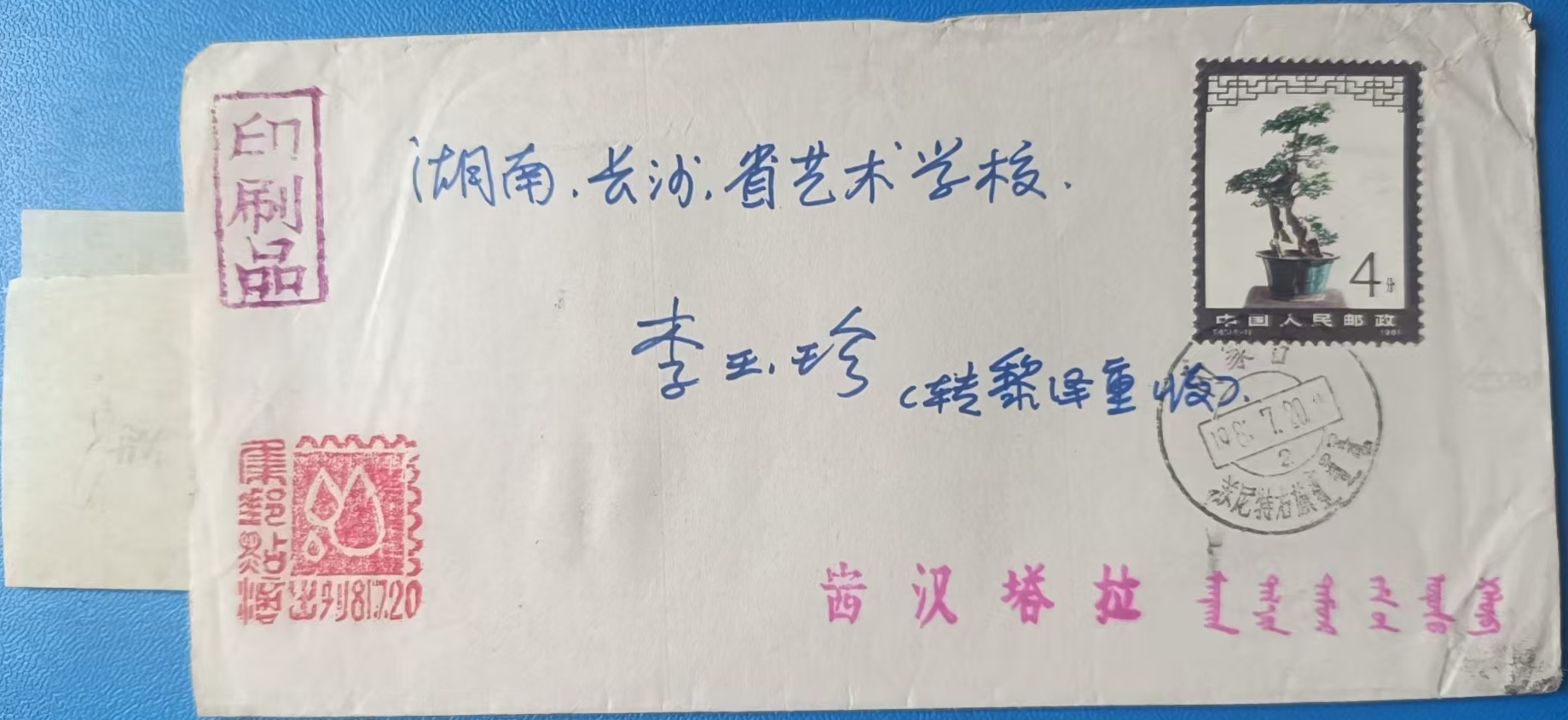 dvubb 图片点击可在新窗口打开查看