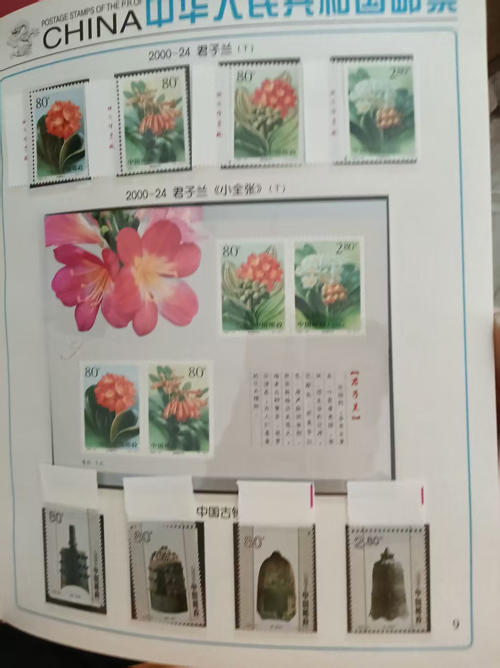 dvubb 图片点击可在新窗口打开查看