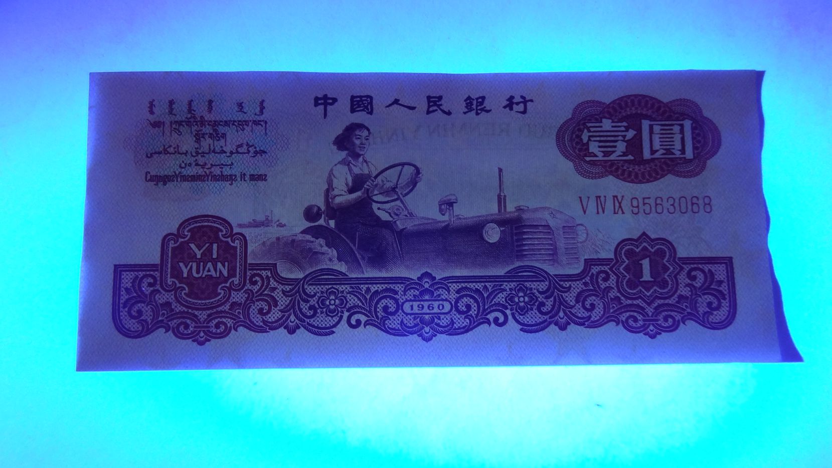 dvubb 图片点击可在新窗口打开查看